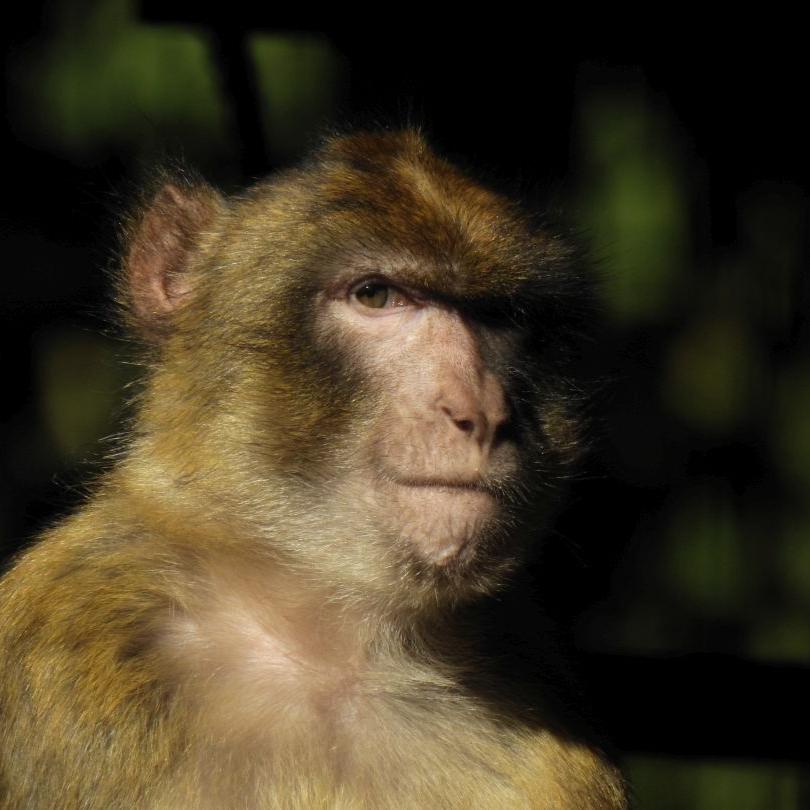heimattiergarten-tierpark-zoo-fuerstenwalde-tiere-029