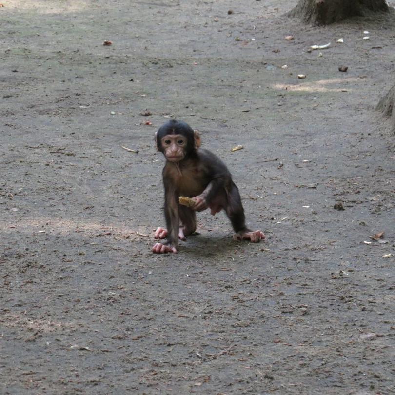 heimattiergarten-tierpark-zoo-fuerstenwalde-tiere-042