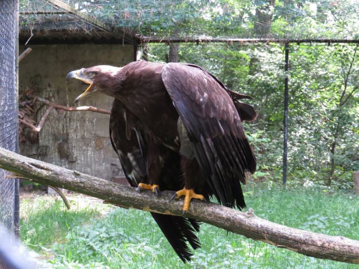 heimattiergarten-tierpark-zoo-fuerstenwalde-tiere-358