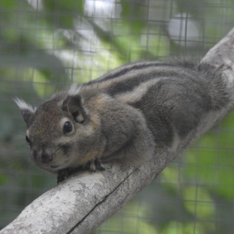 heimattiergarten-tierpark-zoo-fuerstenwalde-tiere-092