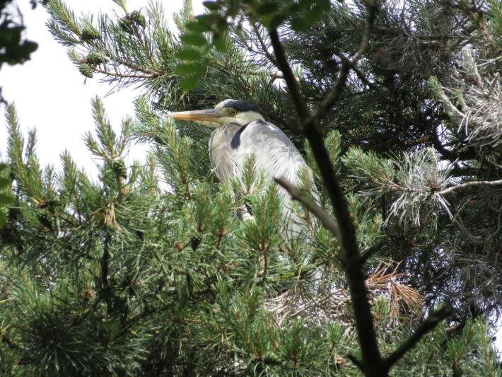 heimattiergarten-tierpark-zoo-fuerstenwalde-tiere-167