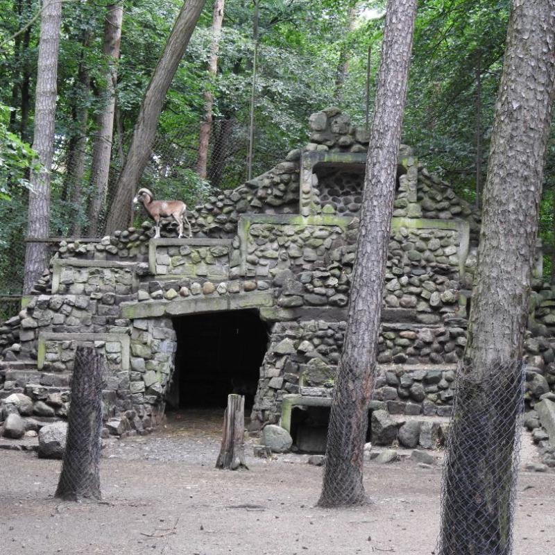 heimattiergarten-tierpark-zoo-fuerstenwalde-tiere-277